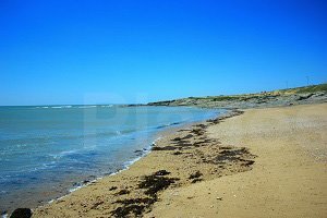 Plage de la Sauzaie