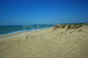 Petit Pont Beach  - Bretignolles-sur-Mer