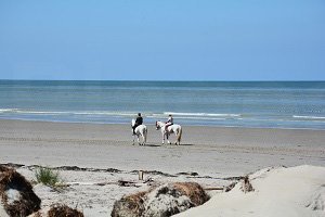 Plage de Marquenterre