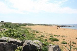 Anse de Chaillé - Les Sables-d'Olonne