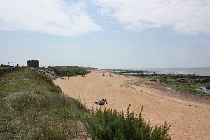 Plage de Paracou - La Chaume - Les Sables-d'Olonne