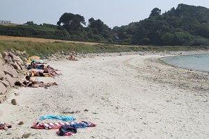 Plage de Port-Le Goff - Trévou-Tréguignec