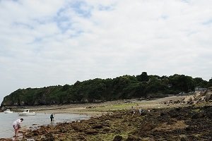 Plage de Port Picain - Cancale