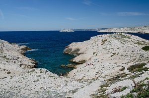 Pousterlo Calanque - Ile de Frioul