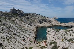 Huile Calanque - Ile de Frioul