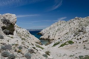 Calanque de l'Escondelle - Ile de Frioul