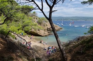 Calanque de Seynerolles - Ile Verte