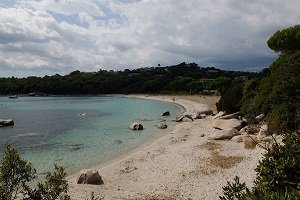 Plage de Capicciola