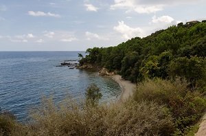 Spiaggia  Fava