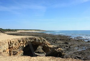 Criques du Payré - Jard-sur-Mer