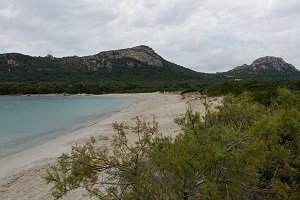 Spiaggia di Chevanu - Pianottoli-Caldarello