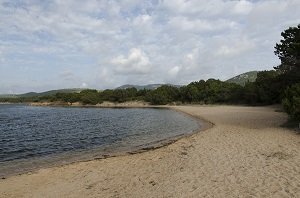 Plage de Tenuta