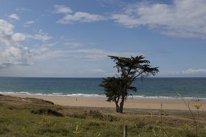 Plage de Saint Pabu - Erquy