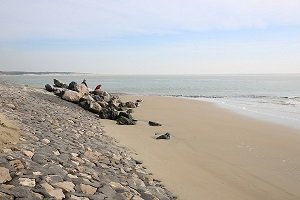 Sternes Beach - Berck