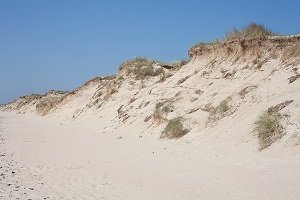 Plage des Dunes - Portbail