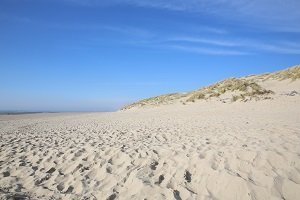 Plage Nord - Stella-Plage