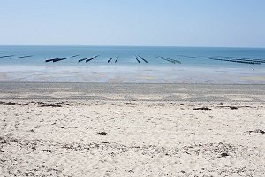 Plage de l'Hippodrome