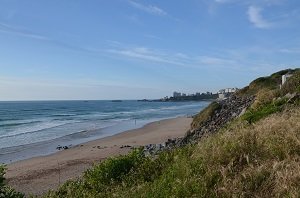 Photo spot de surf à Biarritz - Plage Marbella