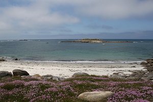 Plage de Porz ar Goret - Ile de Batz