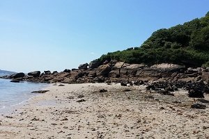 Plage du Gois - Trébeurden