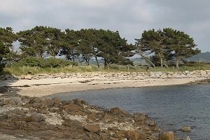 Plage des Dames - Pleumeur-Bodou