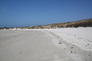 Anse du Guillec (Côté Mer) - Plougoulm