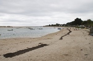 Plage de Letty