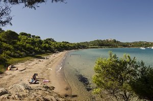 Plage de la Courtade