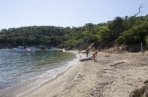 Plage de l'Alycastre