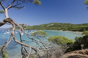 Plage Notre Dame - Porquerolles