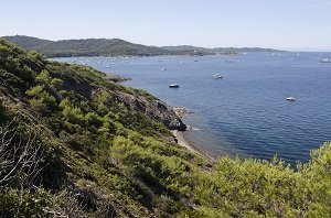 Spiaggia Nera di  Les Mèdes