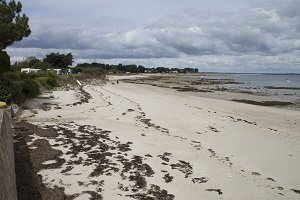 Plage de Poulperneau - Plage du Lizeau