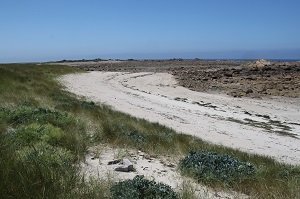 Plage du Renard de l'ile d'Aganton