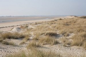 Plage de Montmartin - Montmartin-sur-Mer