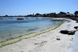 Grande Plage - Le Scluz