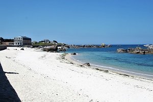 Strand der Blauen Disteln - Brignogan-Plage