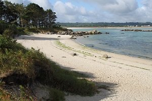 Plage du Dibennou Ouest - Guissény