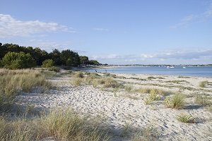 Plage des Sables Blancs