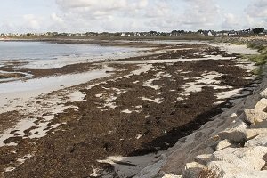 Plage de la Grève Blanche - Guilvinec