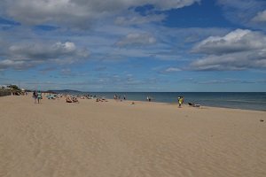 Plage du Rieu - Marseillan