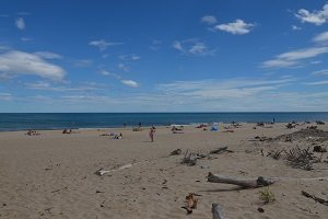 Plage de Bagnas - Marseillan