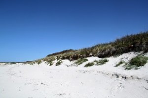 Plage d'Erleac'h - Saint-Pabu