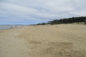 Grande Cote Beach - Saint-Palais-sur-Mer