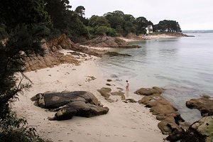 Crique de Mec'hed Yaouank - Fouesnant