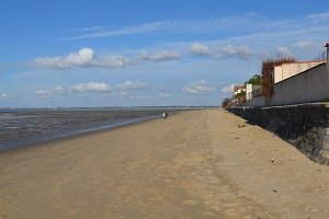 Plage de Ronce les Bains