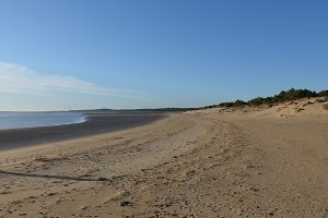 Plage de Bonne Anse - La Palmyre