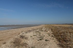 Plage de Marouillet - Plage du Marais d'Yves - Yves