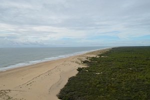 Plage du Vieux Phare - La Tremblade