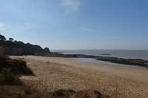 Suzac Cove - Saint-Georges-de-Didonne