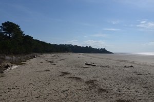 Plage de Suzac - Meschers-sur-Gironde